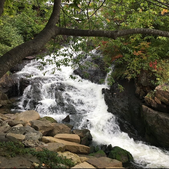 Meet your Posher, Margie - Picture 3 of 3